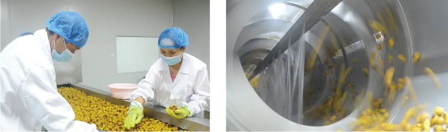 鲜果分拣与品控车间